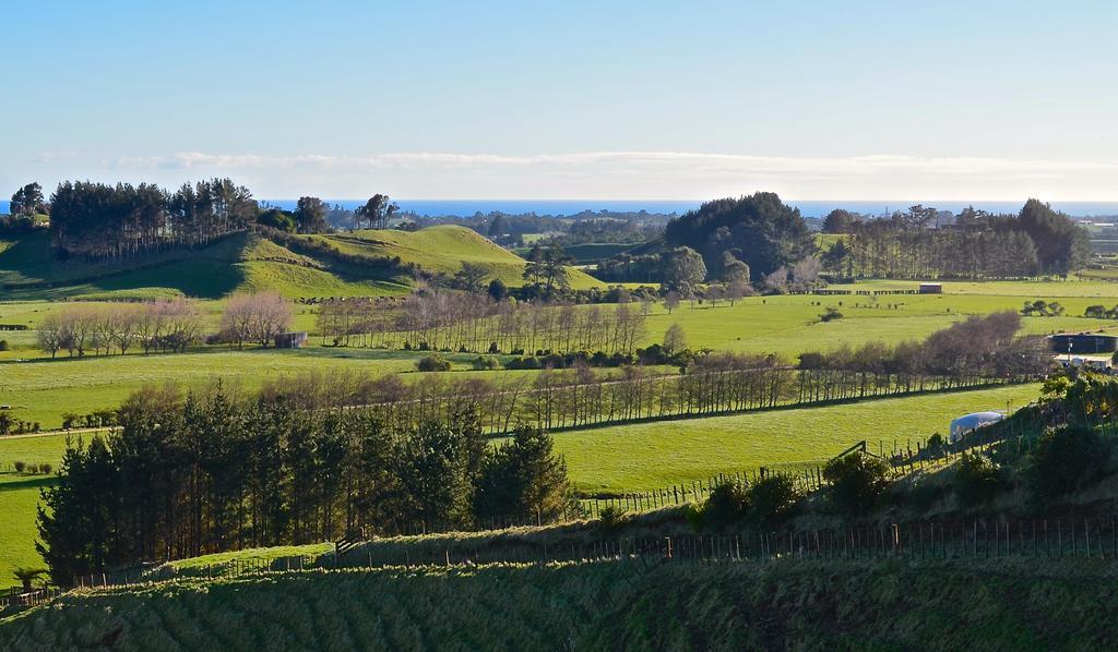 A Touch Of Tuscany At Hillsborough New Plymouth Exterior foto